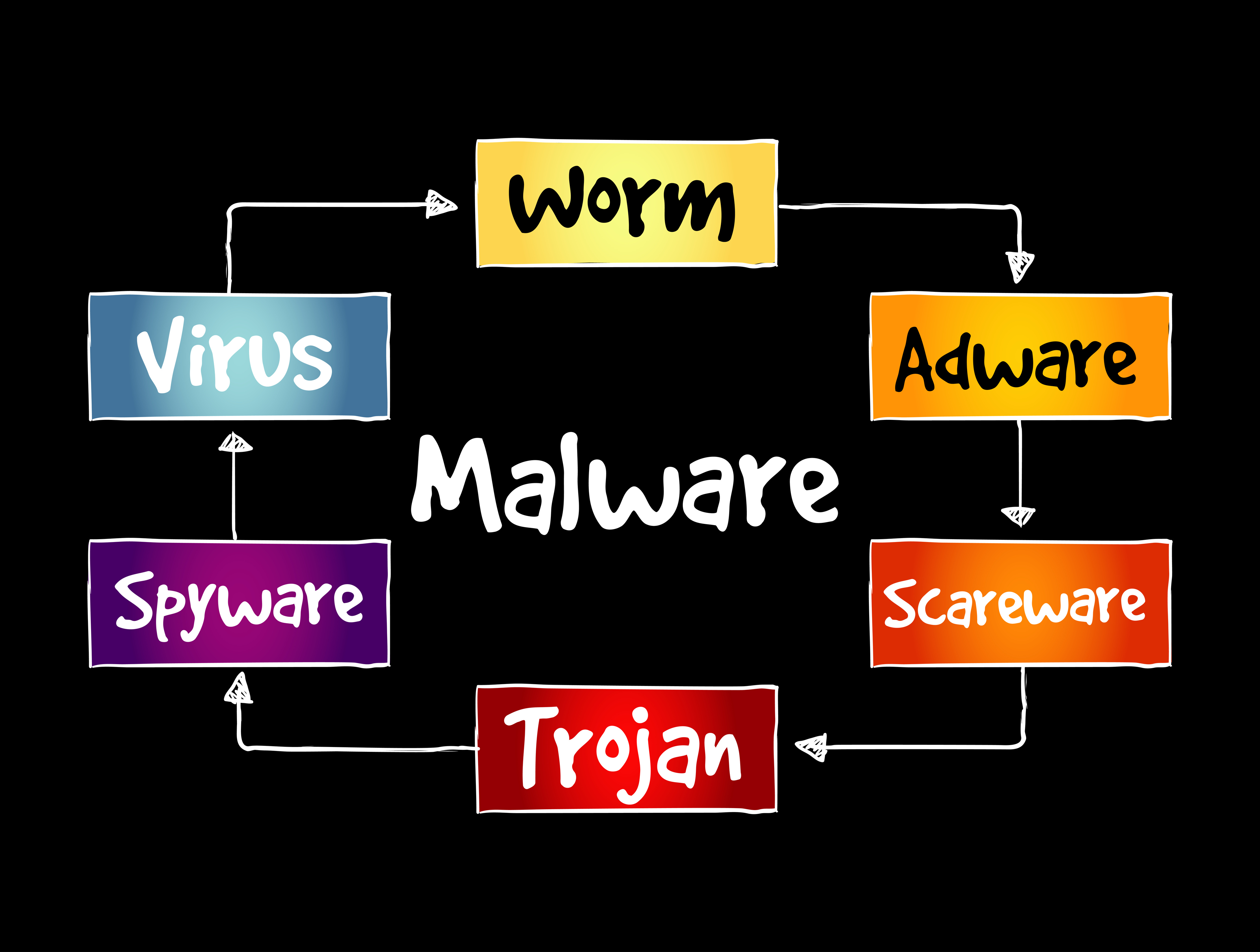 computer virus diagram