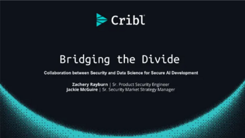 Collaboration Between Security & Data Science for Secure AI Development ...